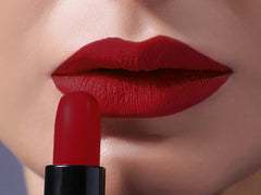 VIDA MATTE MATTERS LIPSTICK